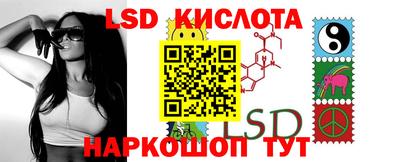 мдпв Гатчина