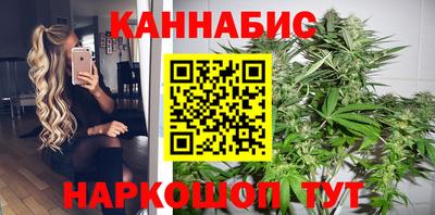 прущие крисы Гай