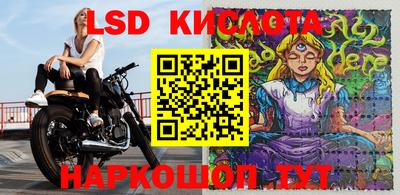 мдпв Гатчина