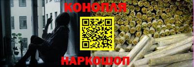 прущие крисы Гай